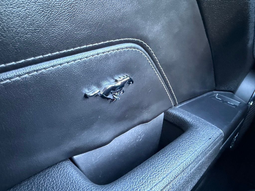 2010 Ford Mustang GT Premium