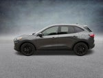 2020 Ford Escape Hybrid SE Sport
