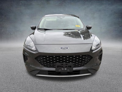 2020 Ford Escape Hybrid SE Sport