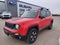 2019 Jeep Renegade Trailhawk