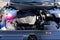 2026 Hyundai SANTA CRUZ SEL Activity FWD