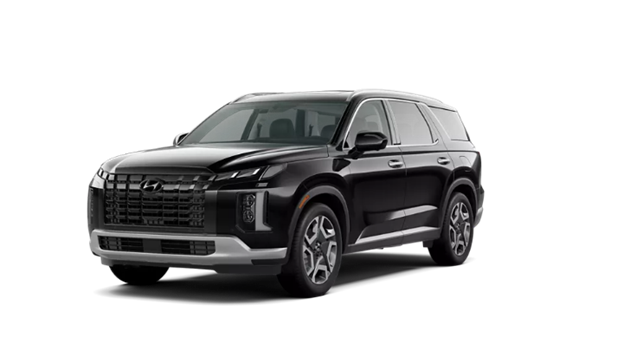 2025 Palisade SEL exterior